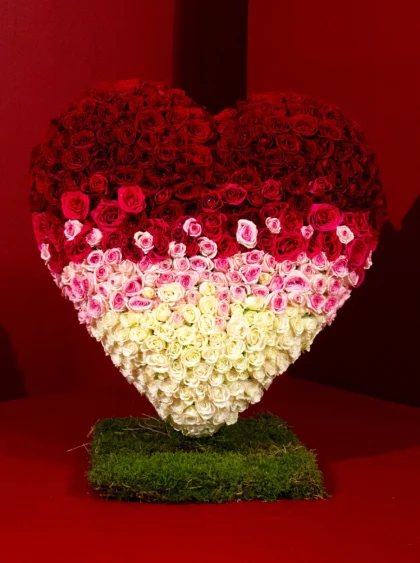 Shades of Celebration