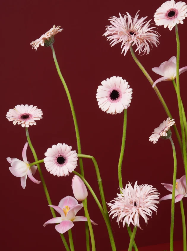 Breezy Petal - Image 2