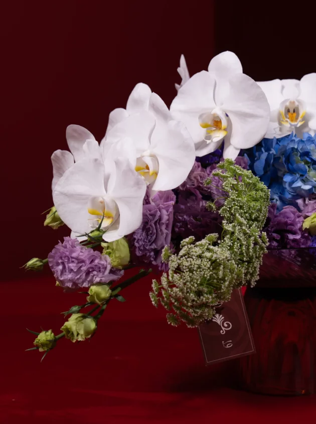Nocturne Bloom - Image 3