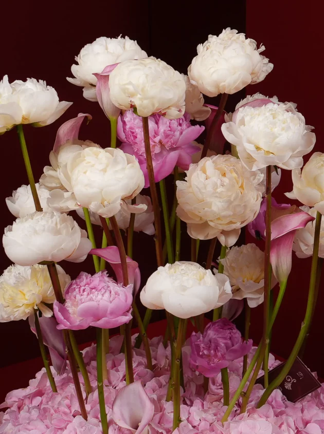 Petal Cloudscape - Image 2