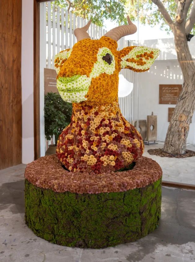Desert Grace - Image 3
