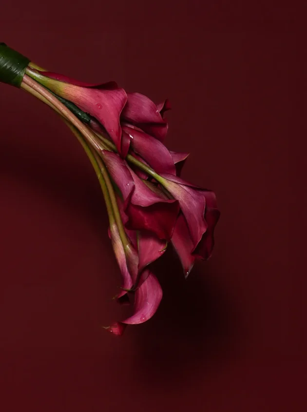 Stylish Statement - Image 2