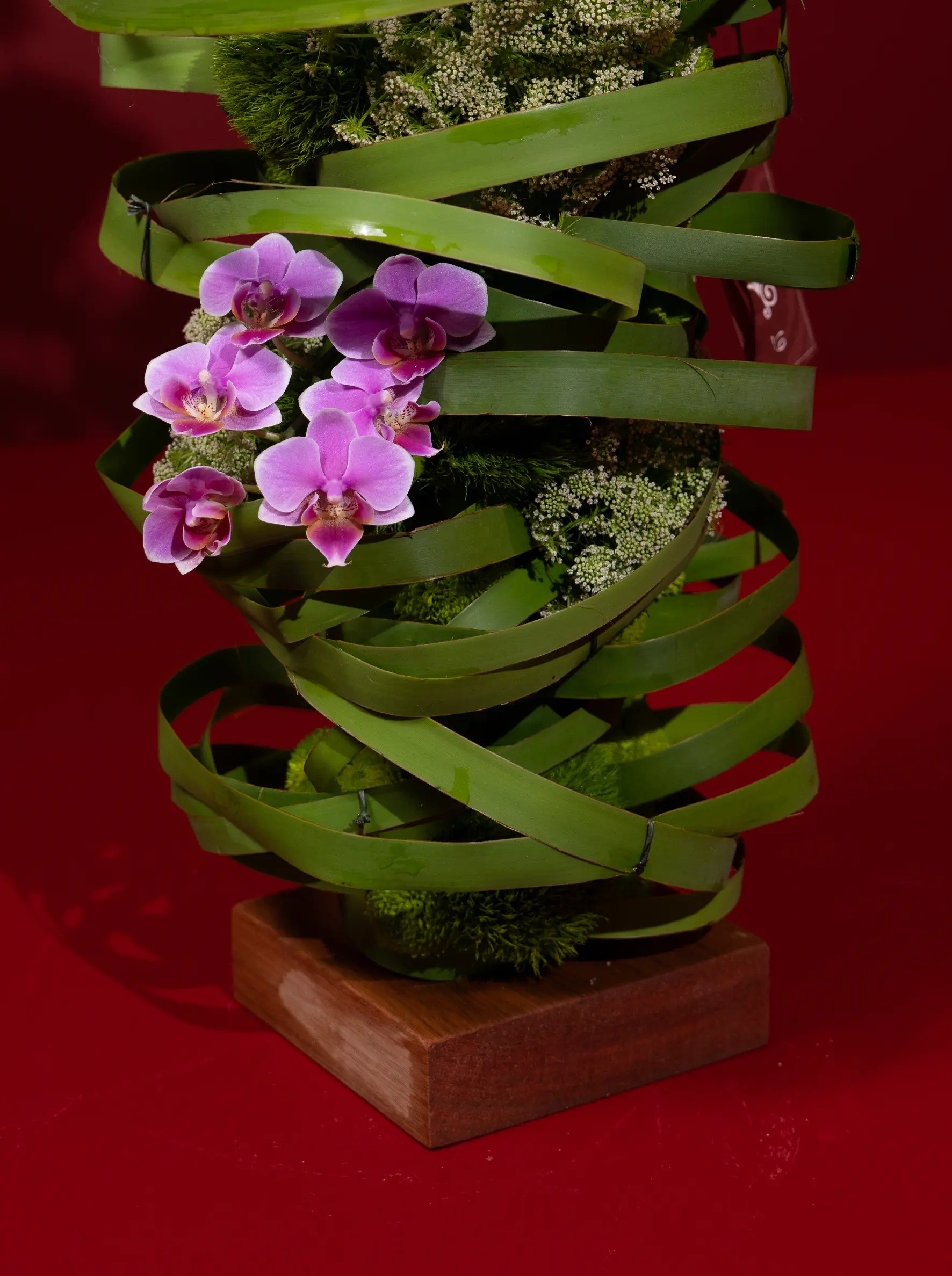 Vortex of Violets - Image 2